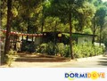 Metapontum Camping